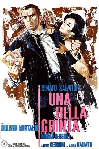 Póster de Una bella grinta