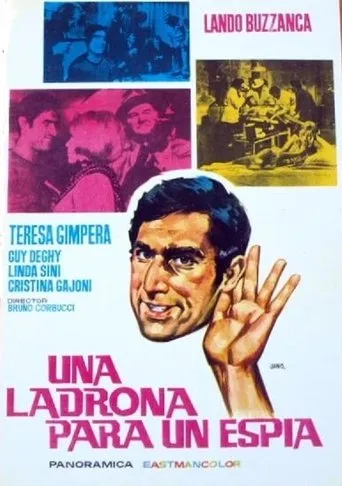 Póster de Una ladrona para un espía