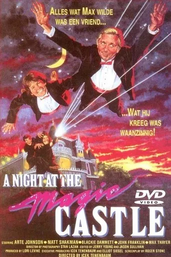 Póster de Una noche en el castillo mágico