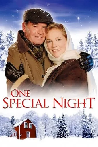 Póster de Una noche especial