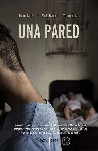 Póster de Una pared