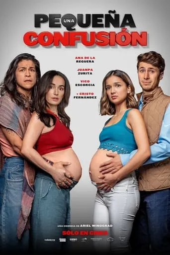 Póster de Una pequeña confusión