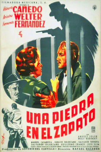 Póster de Una piedra en el zapato