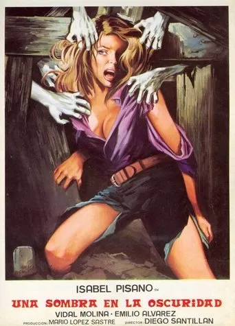 Póster de Una sombra en la oscuridad