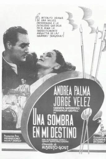 Póster de Una sombra en mi destino