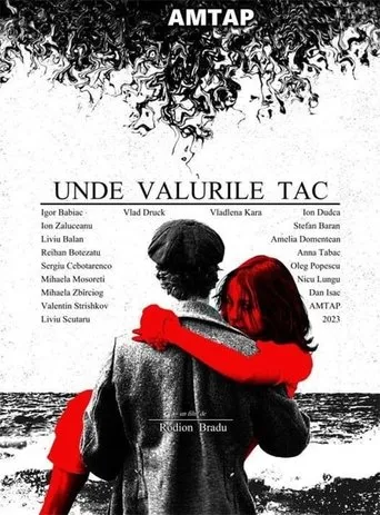 Póster de Unde Valurile Tac