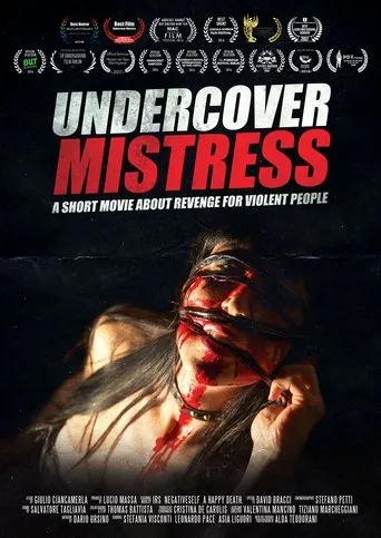Póster de Undercover Mistress