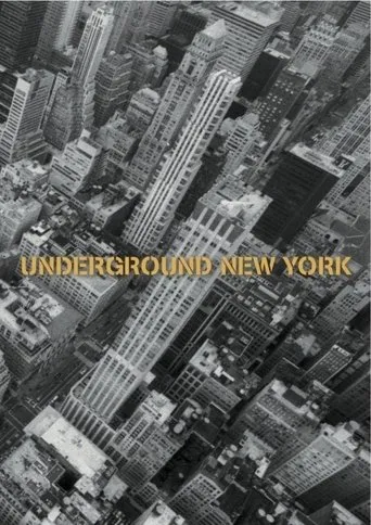 Póster de Underground New York