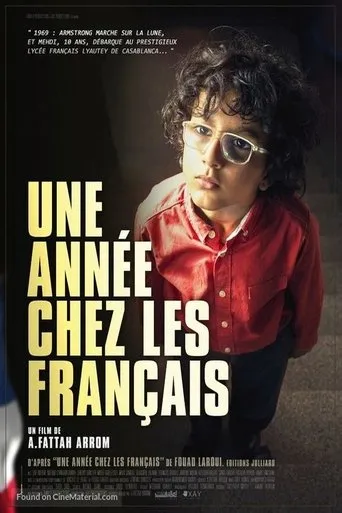 Póster de Une année chez les français