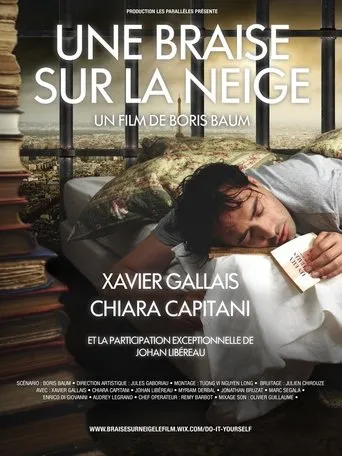 Póster de Une braise sur la neige
