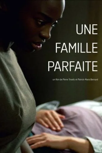 Póster de Une famille parfaite