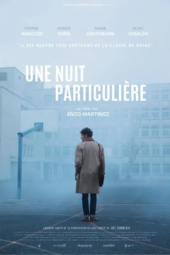 Póster de Une nuit particulière
