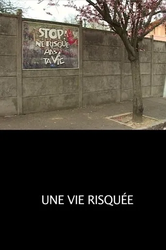 Póster de Une Vie Risquée