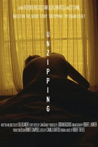 Póster de Unzipping