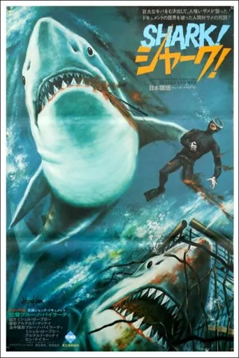Póster de Uomini e squali