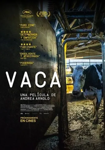 Póster de Vaca (2022) con Lin Gallagher como Self - Audio Description (voice)