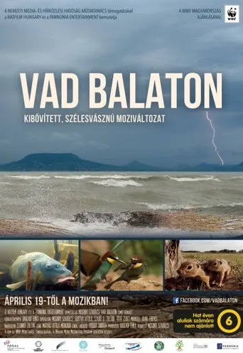 Póster de Vad Balaton