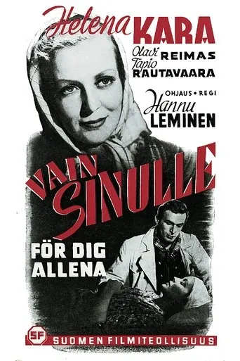 Póster de Vain sinulle