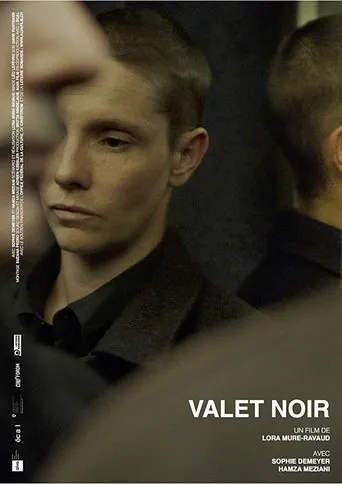 Póster de Valet noir