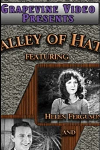 Póster de Valley of Hate
