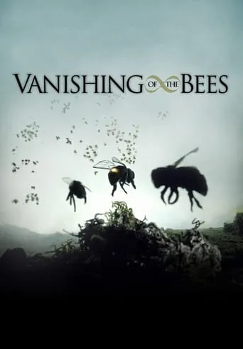 Póster de Vanishing of the Bees