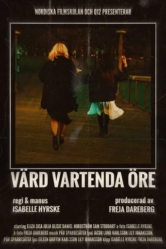 Póster de Värd Vartenda Öre