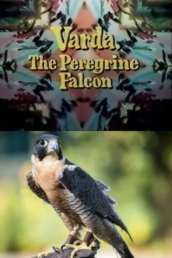 Póster de Varda, the Peregrine Falcon