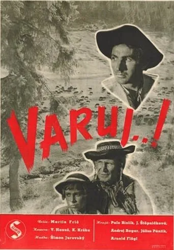 Póster de Varuj...!