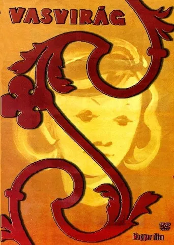 Póster de Vasvirág