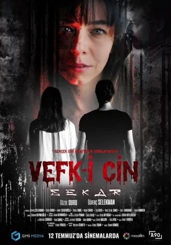 Póster de Vefk-i Cin Sekar