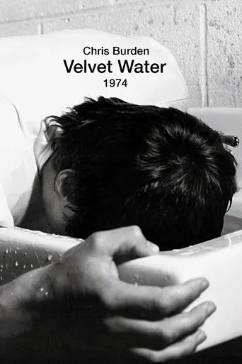 Póster de Velvet Water