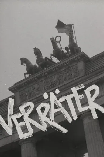 Póster de Verräter