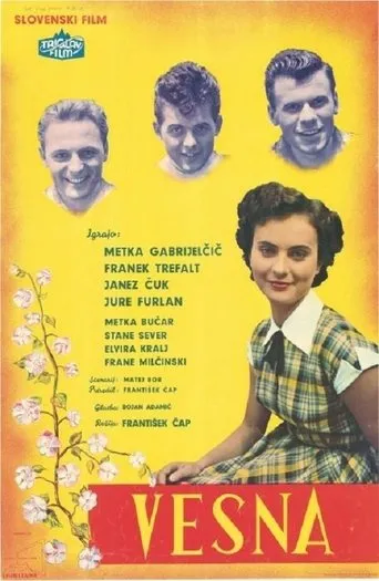 Póster de Vesna