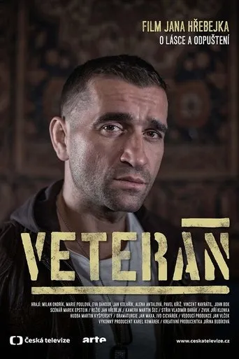 Póster de Veterán