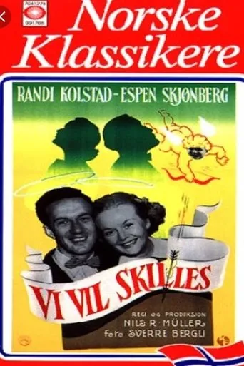 Póster de Vi vil skilles