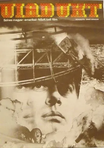 Póster de Viadukt