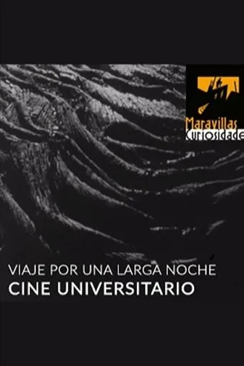 Póster de Viaje por una larga noche