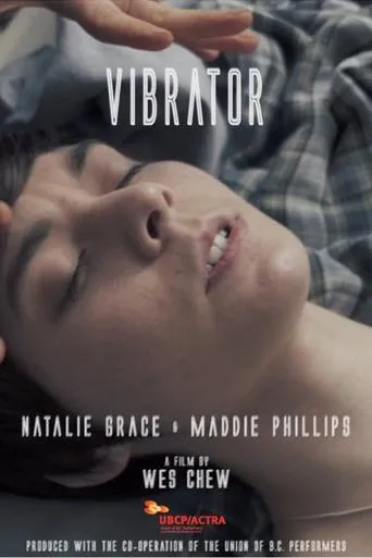 Póster de Vibrator