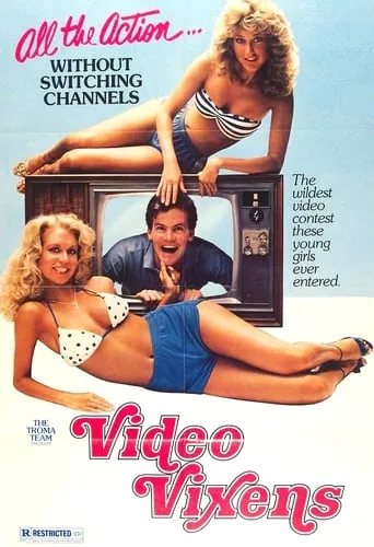 Póster de Video Vixens!
