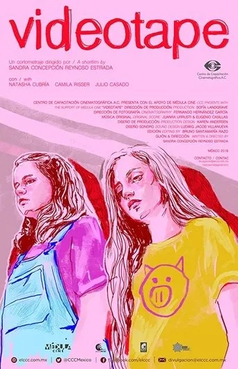 Póster de Videotape