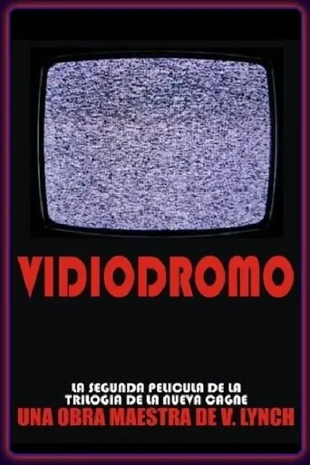 Póster de Vidiodromo