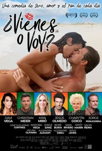 Póster de Vienes o Voy?