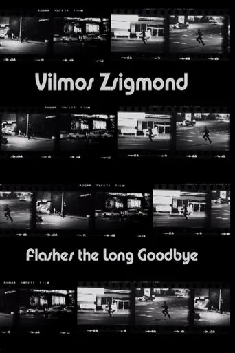 Póster de Vilmos Zsigmond Flashes 'The Long Goodbye'