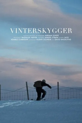 Póster de Vinterskygger