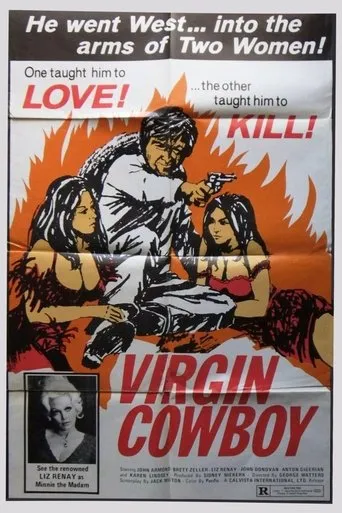 Póster de Virgin Cowboy