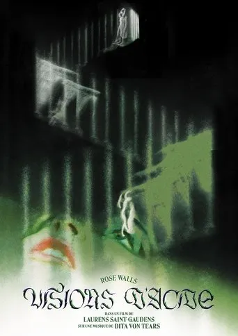 Póster de Visions d'Acide