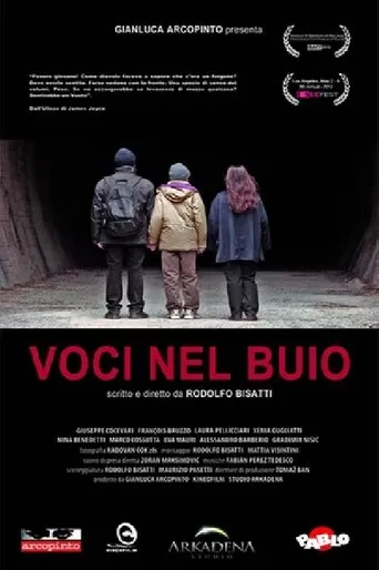Póster de Voci nel buio