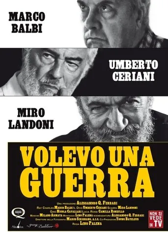 Póster de Volevo una guerra