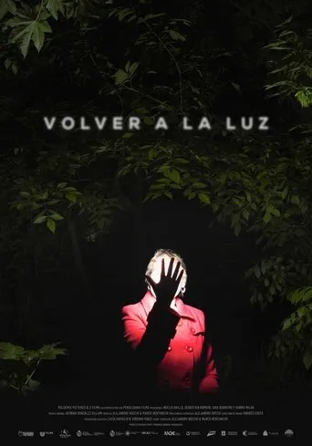 Póster de Volver a la luz
