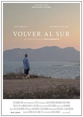Póster de Volver al sur